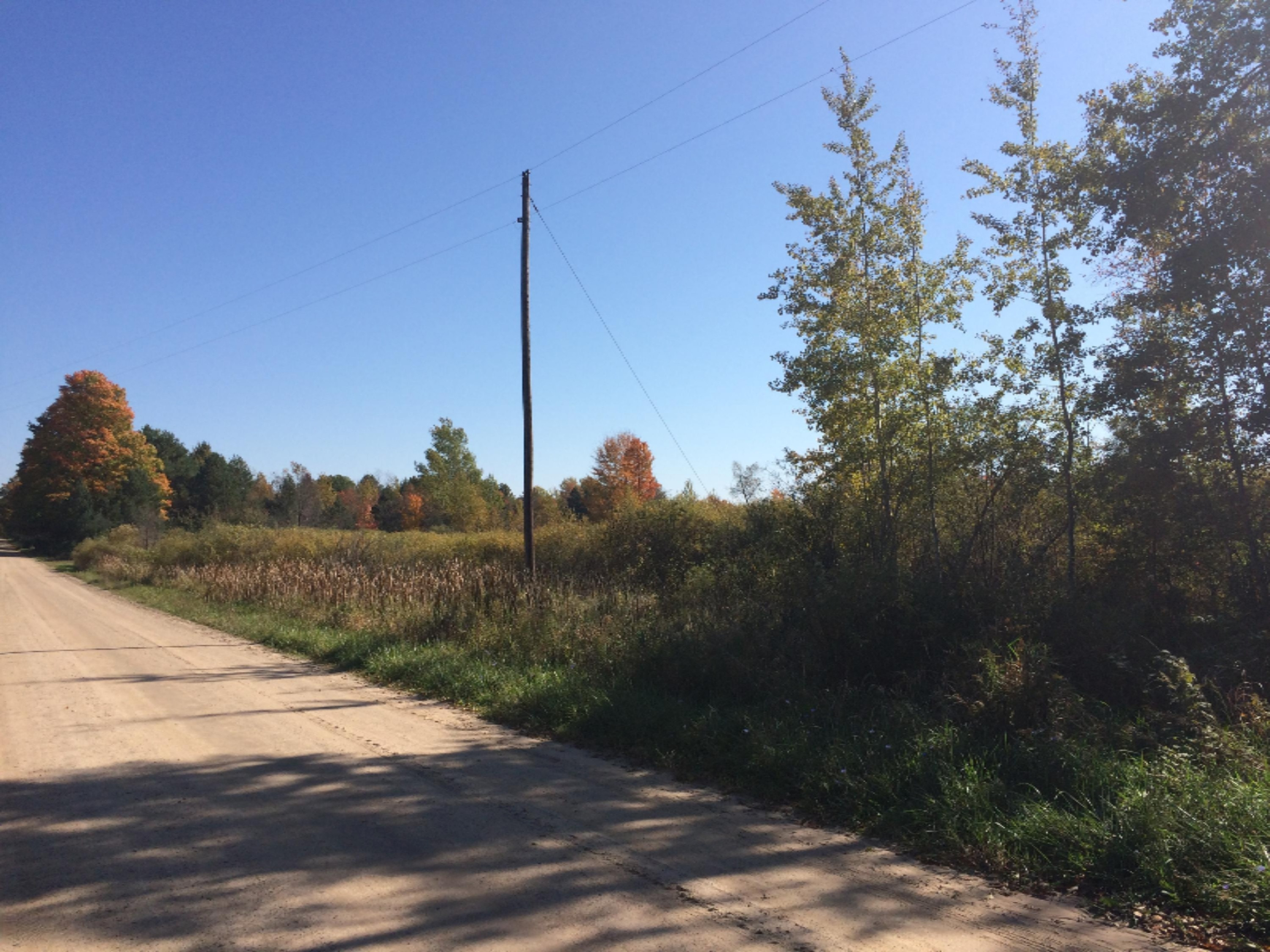 19449 8 Mile Road Reed City, MI 49677 - Photo 6 of 25 IMG_4080