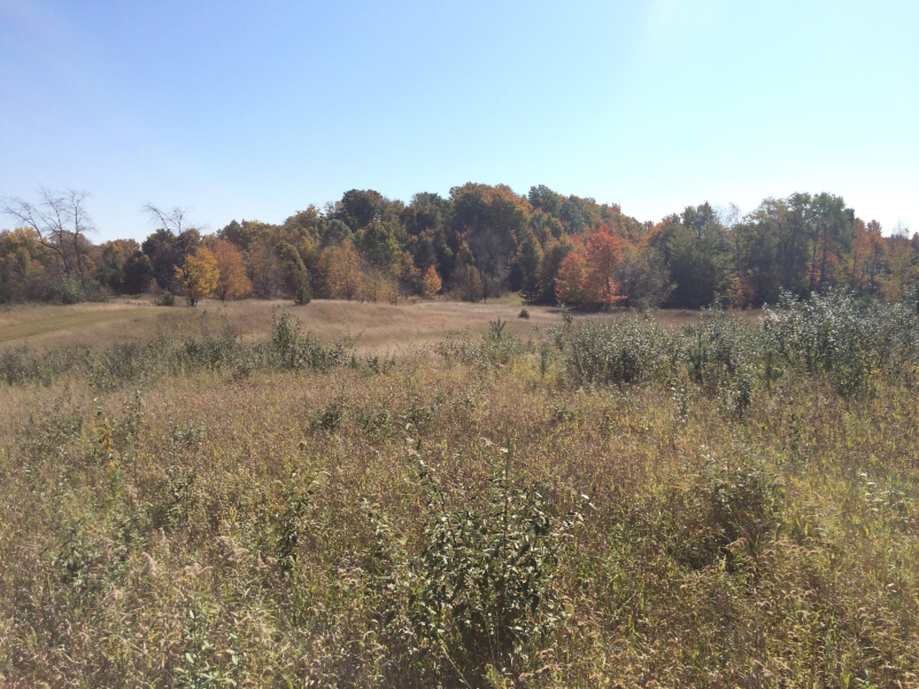 19449 8 Mile Road Reed City, MI 49677 - Photo 9 of 25 IMG_4088
