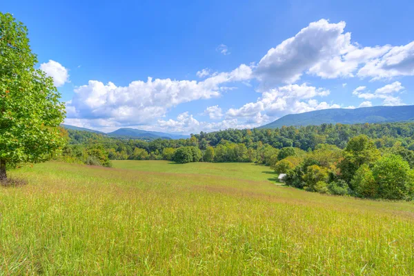 $1,000,000 | 1782 Wolf Creek Highway, Narrows, VA 24124