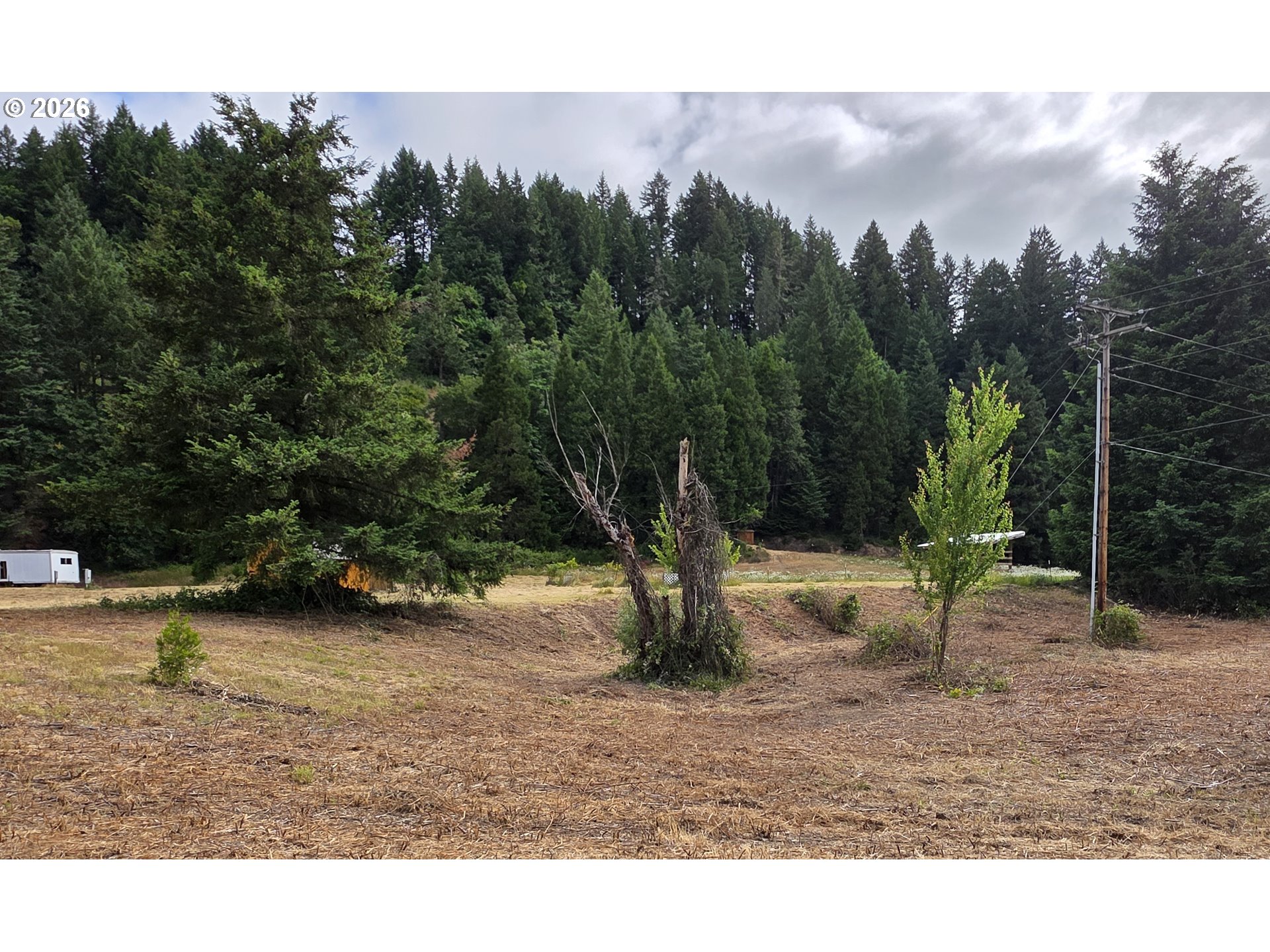 920 Buck Creek Road Drain, OR 97435 - Photo 17 of 18