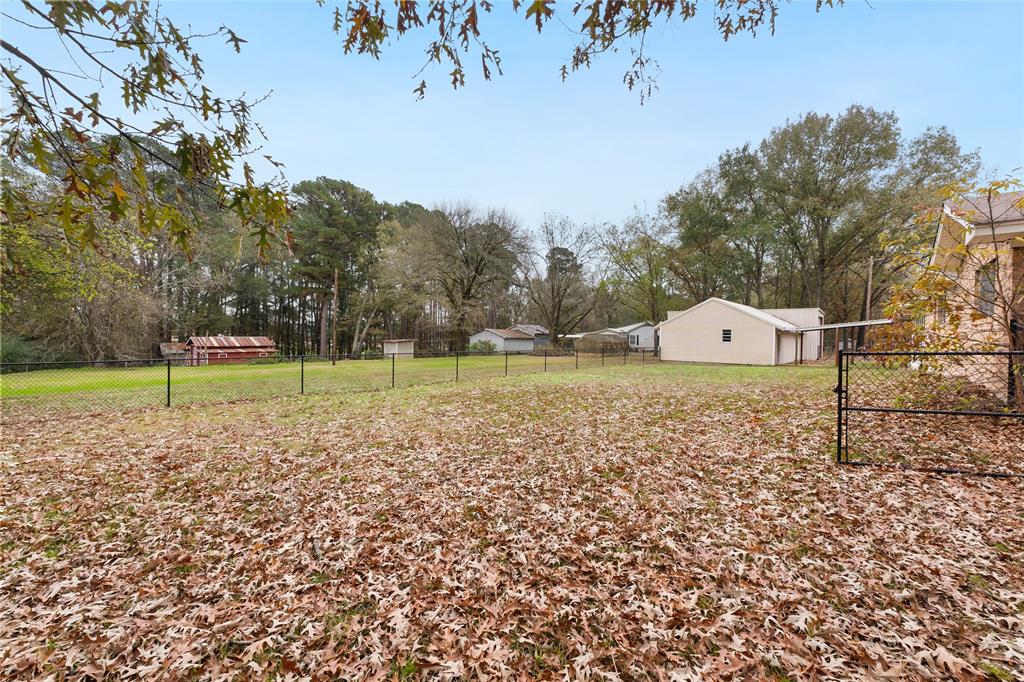 1621 Baseball Loop Diana, TX 75640 - Photo 37 of 38 a view of a park