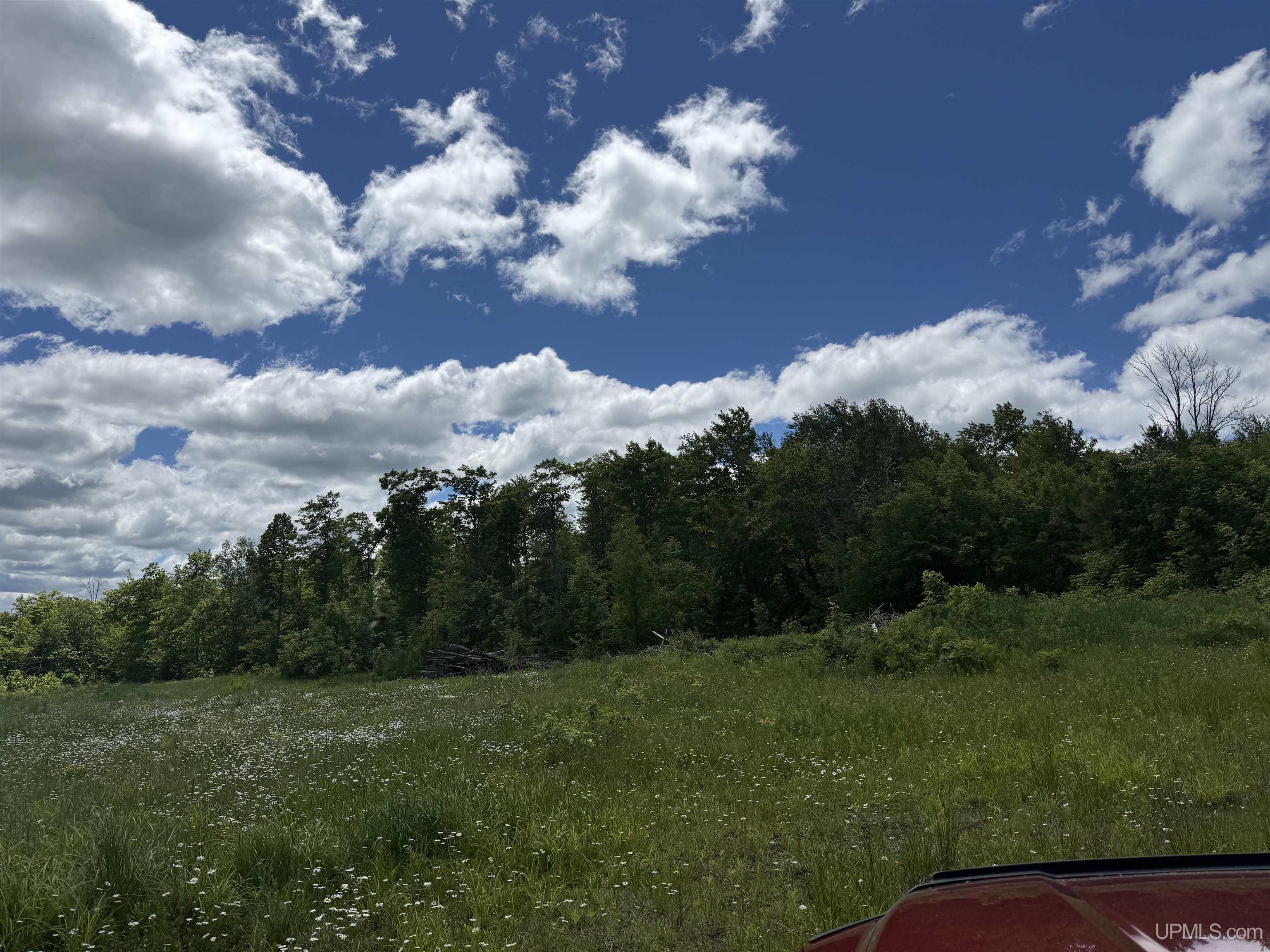 23171 Seppanen Road, Unit TBD OFF END OF SEPPANEN R Nisula, MI 49952 - Photo 8 of 16