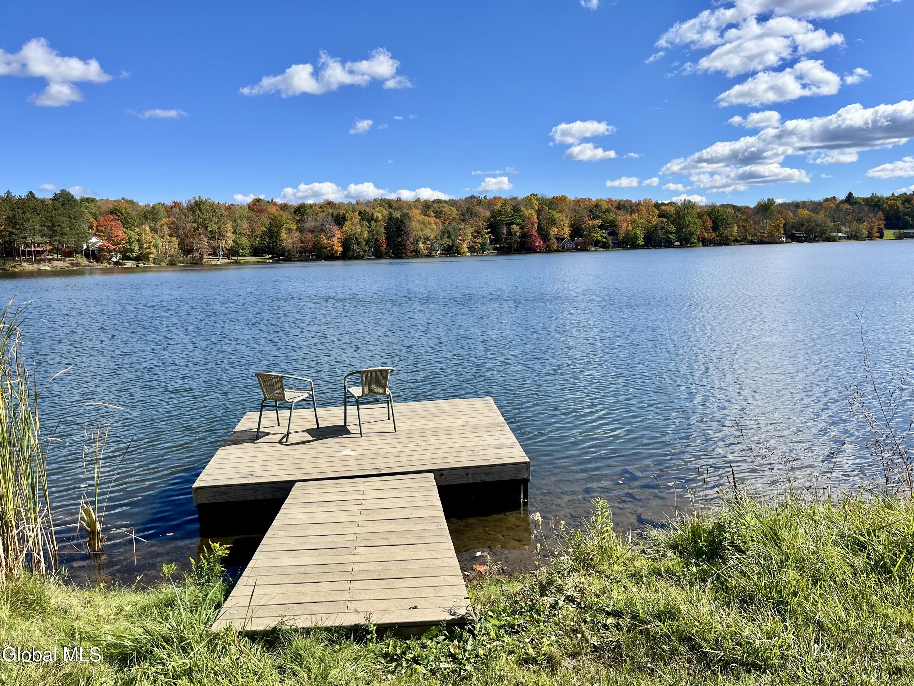 2971 Highway 10 Summit, NY 12175 - Photo 14 of 16 IMG_9092