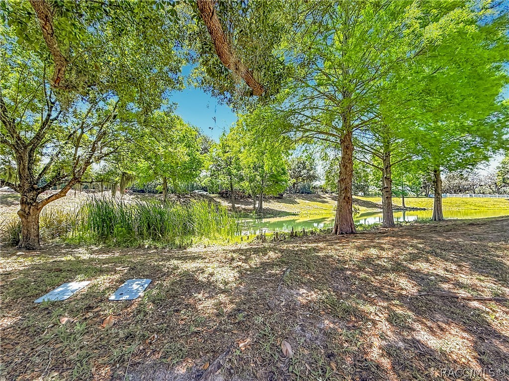 1660 West Spring Meadow Loop Lecanto, FL 34461 - Photo 38 of 54