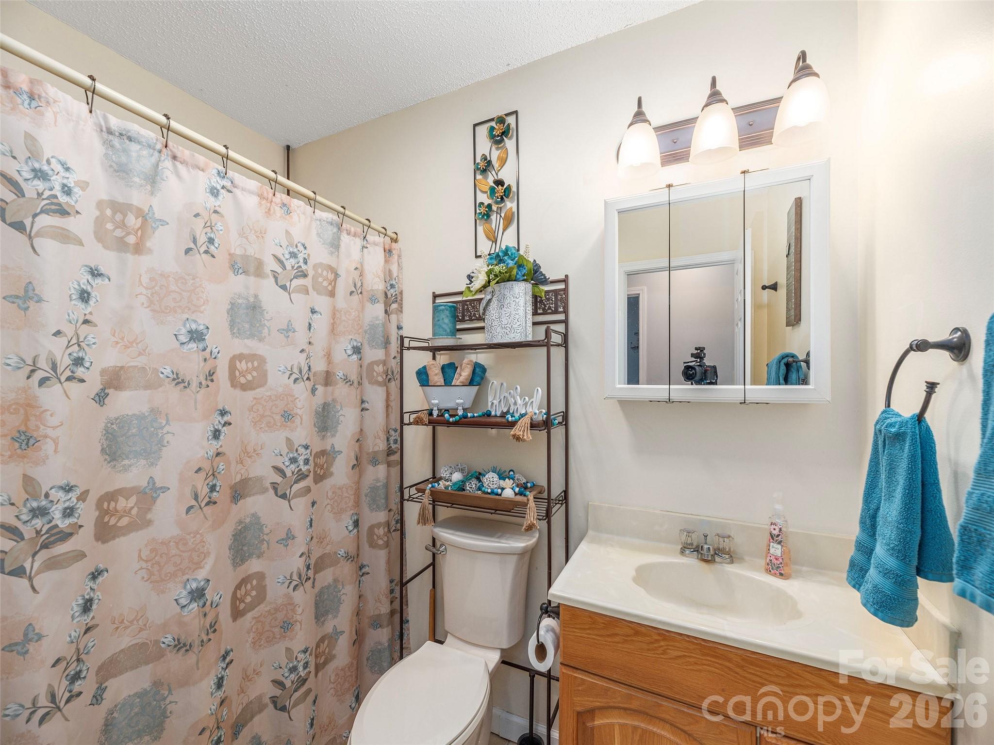 219 Hookers Gap Road Candler, NC 28715 - Photo 16 of 26