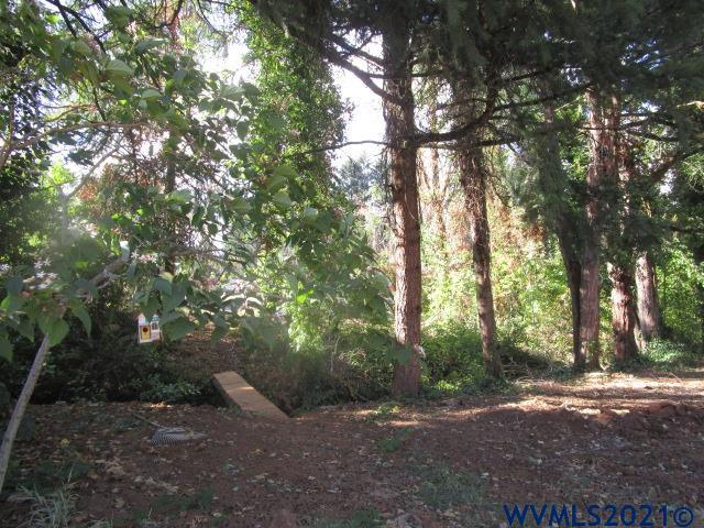 6912 Liberty Road South Salem, OR 97306 - Photo 20 of 37 a big tree