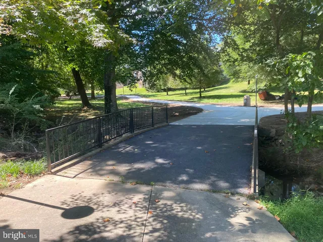 a view of a park with large trees