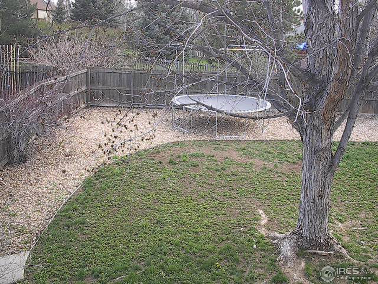 1661 West Swallow Road Fort Collins, CO 80526 - Photo 4 of 14 Gallery Image 4