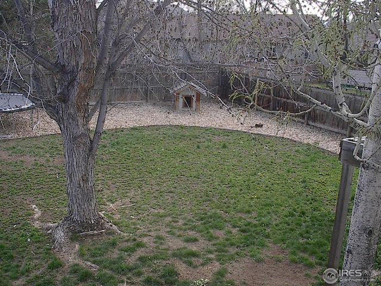 1661 West Swallow Road Fort Collins, CO 80526 - Photo 5 of 14 Gallery Image 5