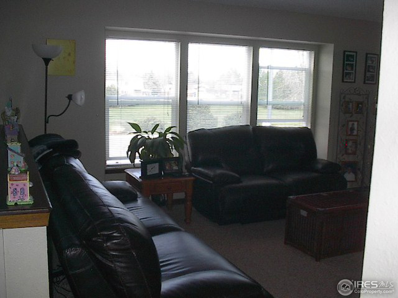 1661 West Swallow Road Fort Collins, CO 80526 - Photo 7 of 14 Gallery Image 7