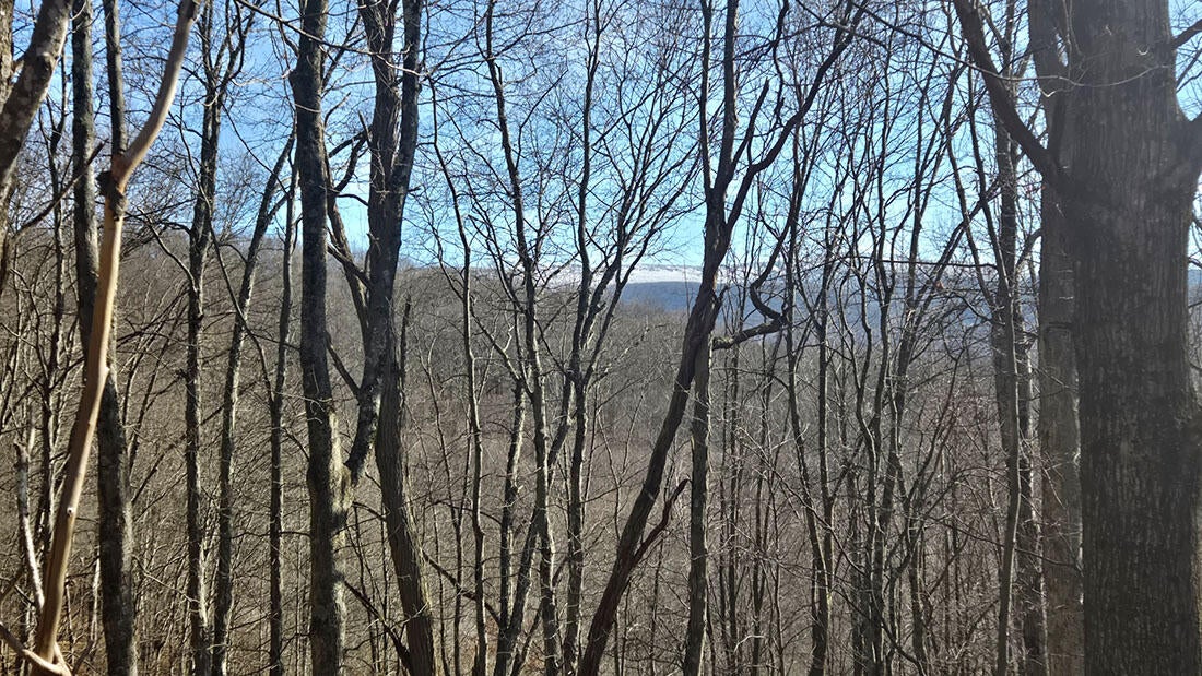 27 Acres Big Spring Slatyfork, WV 26291 - Photo 14 of 22 Proximity to Snowshoe Mountain Resort