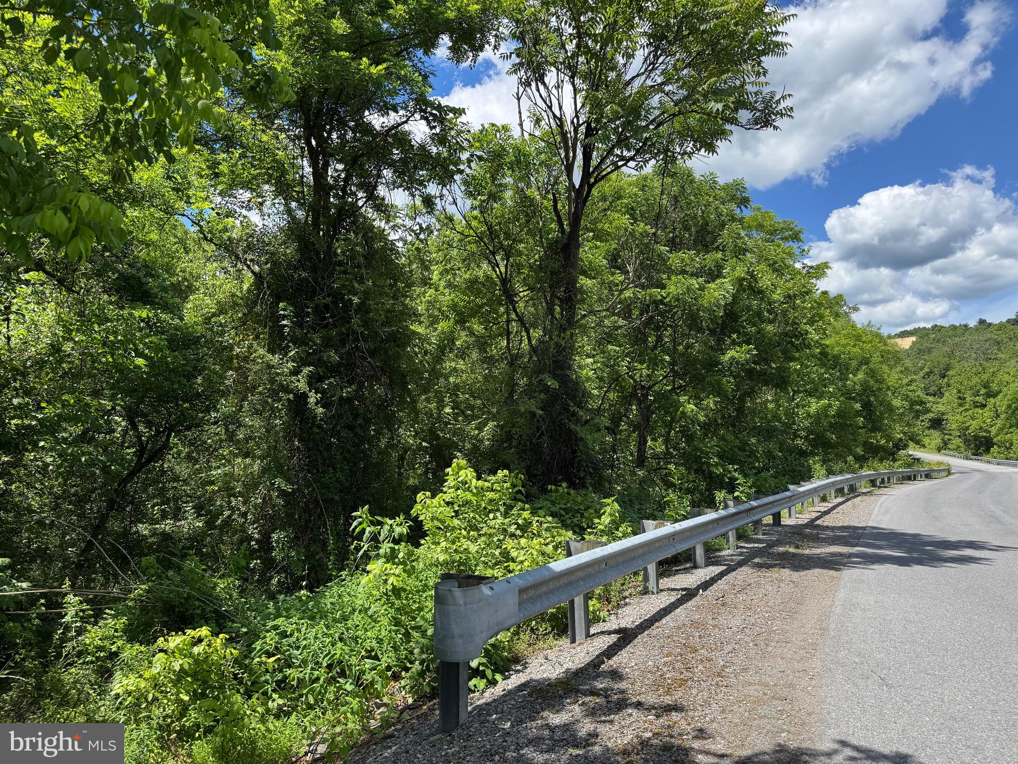Sand Mine Rd Creek, Unit BY Berkeley Springs, WV 25411 - Photo 11 of 11