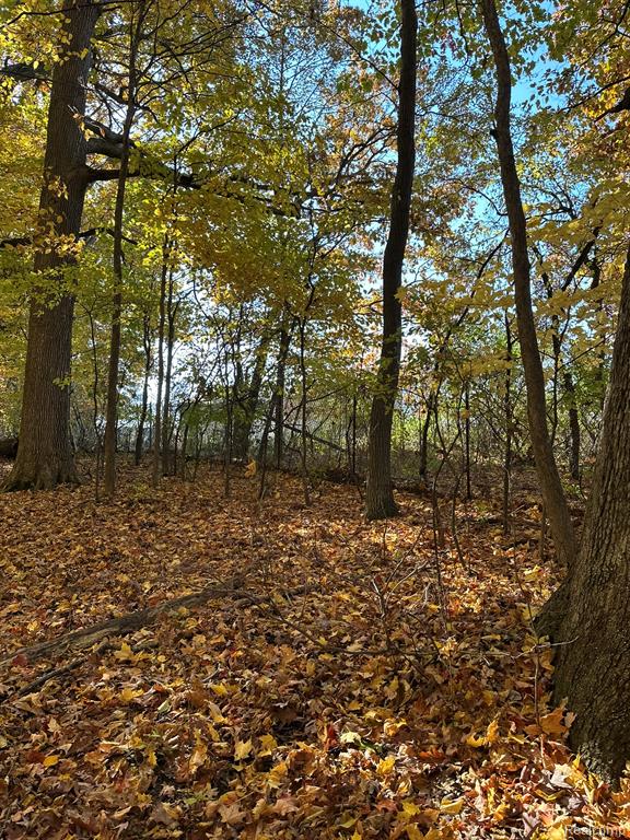 0 Rulane Drive Lapeer, MI 48446 - Photo 33 of 39 Gallery Image 33