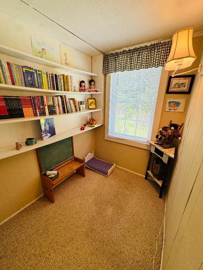 5670 Chances Creek Road Fancy Gap, VA 24328 - Photo 28 of 46 Gallery Image 28