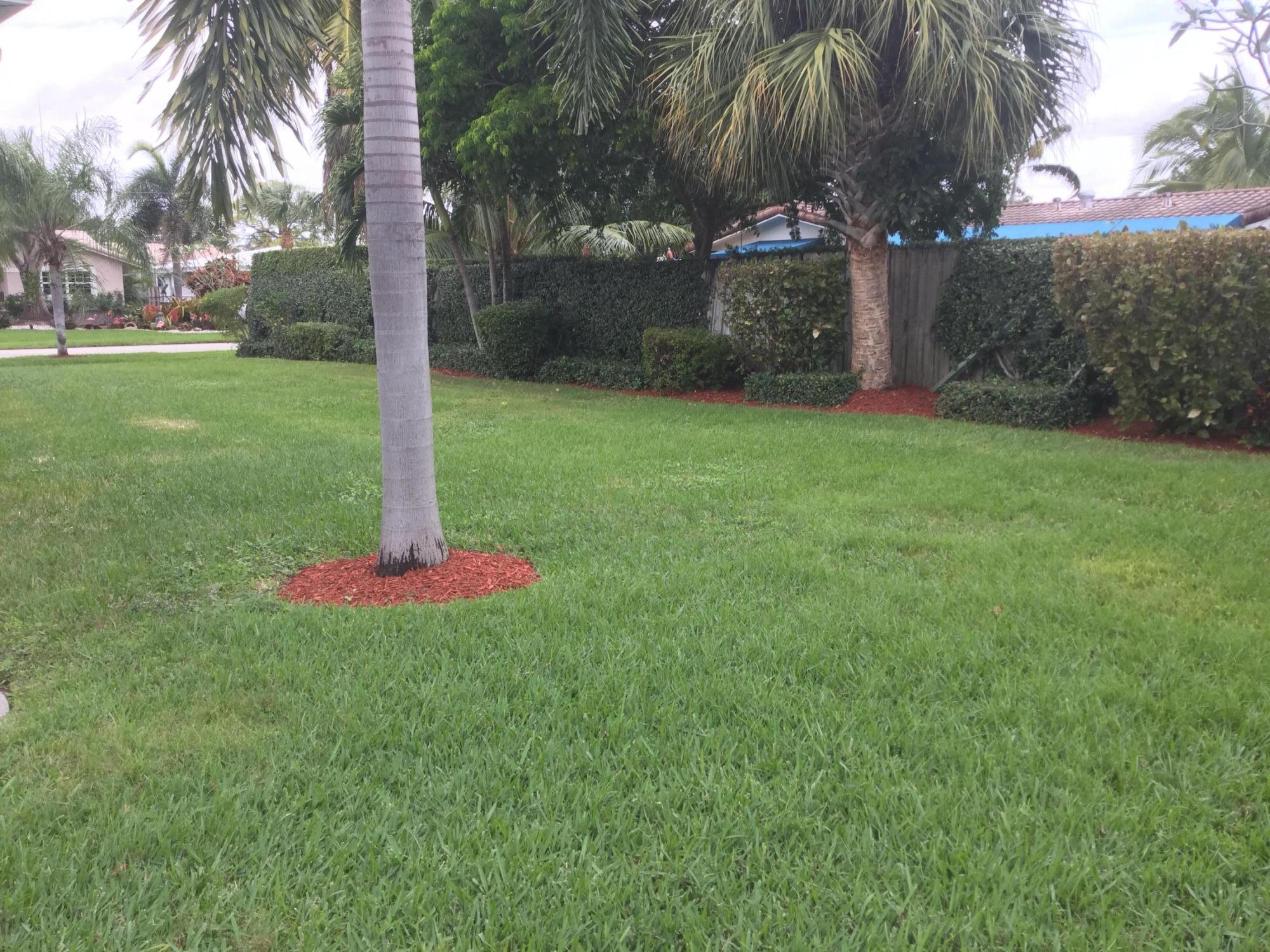 851 Southwest 5th Street Boca Raton, FL 33486 - Photo 21 of 27 Back yard
