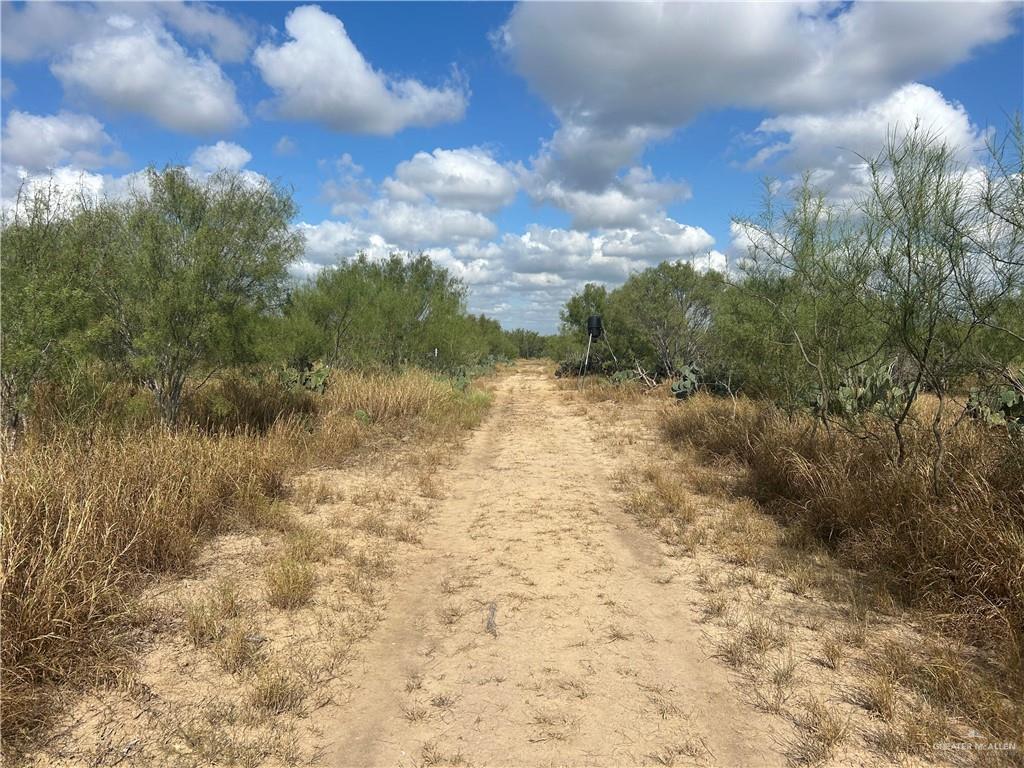 0 U.S. Highway 83 Zapata, TX 78076 - Photo 21 of 28