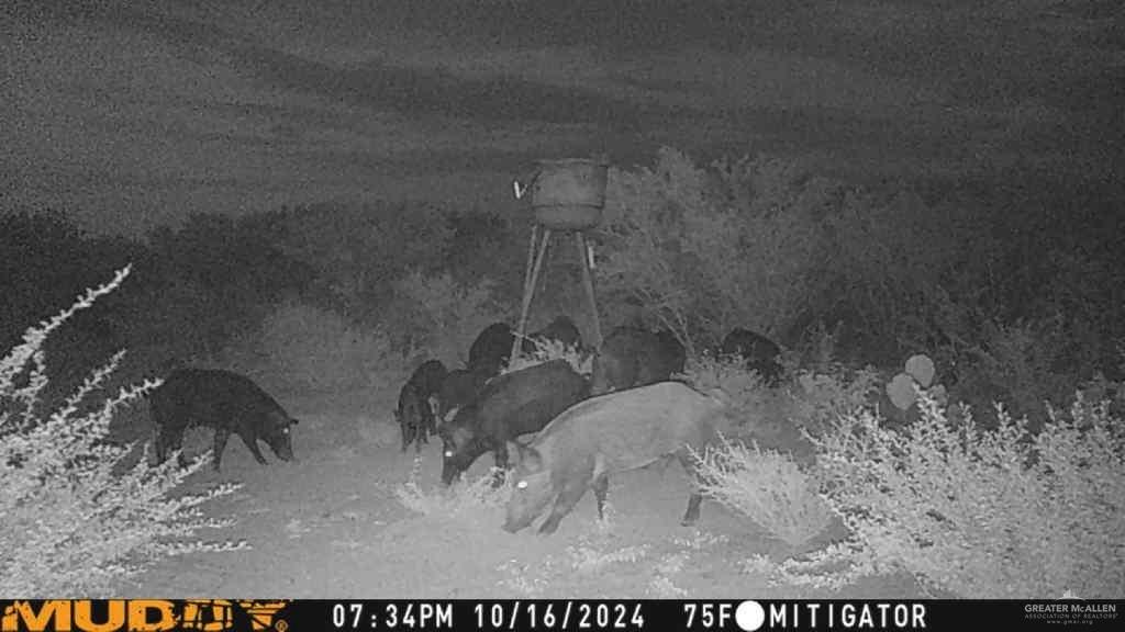 0 U.S. Highway 83 Zapata, TX 78076 - Photo 24 of 28