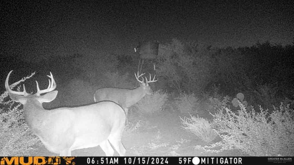 0 U.S. Highway 83 Zapata, TX 78076 - Photo 25 of 28