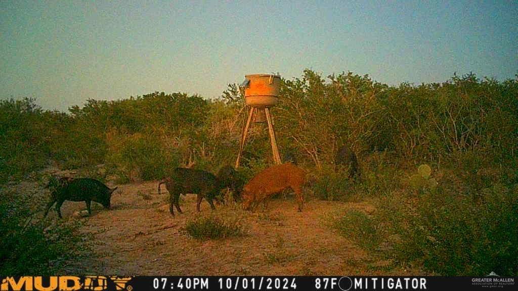 0 U.S. Highway 83 Zapata, TX 78076 - Photo 26 of 28