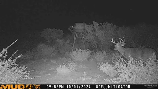 $540,000 | 0 U.S. Highway 83, Zapata, TX 78076