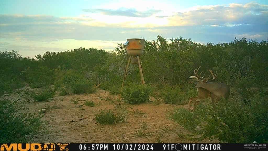 0 U.S. Highway 83 Zapata, TX 78076 - Photo 28 of 28