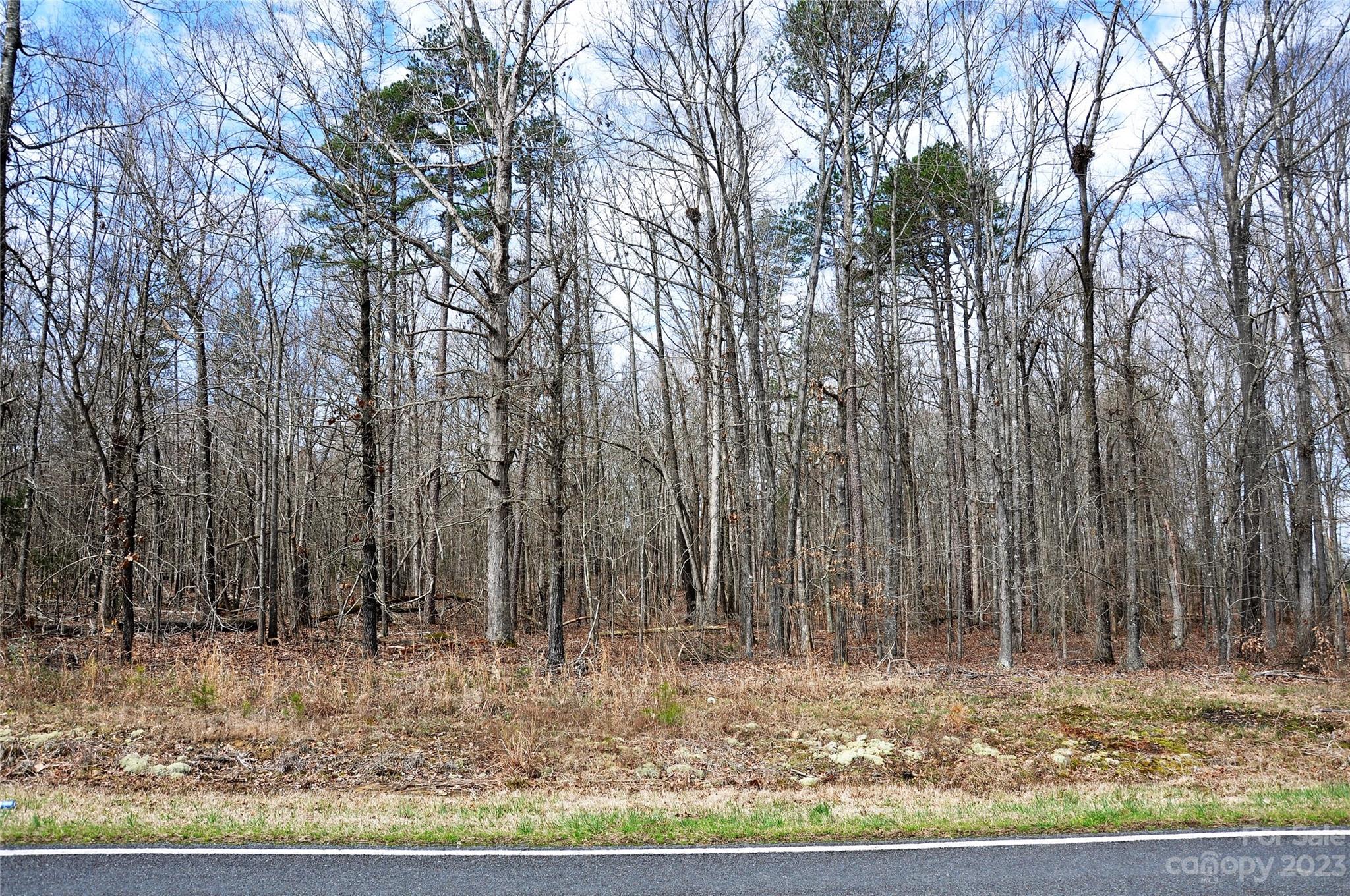 0 East Sandy Ridge Road Monroe, NC 28112 - Photo 3 of 5 a view of a backyard