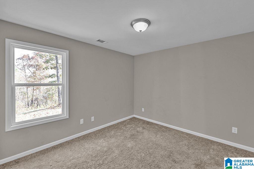 2445 Summit Park Road Odenville, AL 35120 - Photo 22 of 28