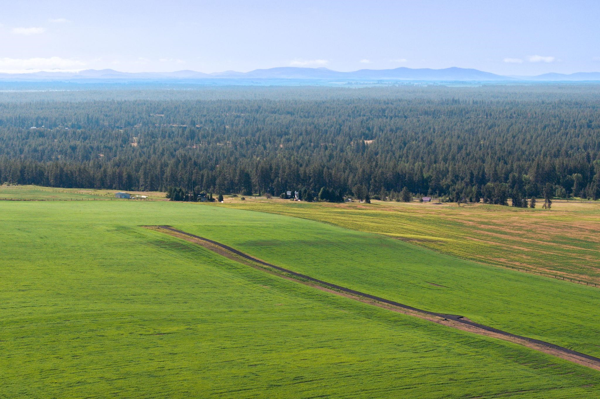 Nka South Andrus Road, Unit LOT #6 Cheney, WA 99004 - Photo 5 of 10