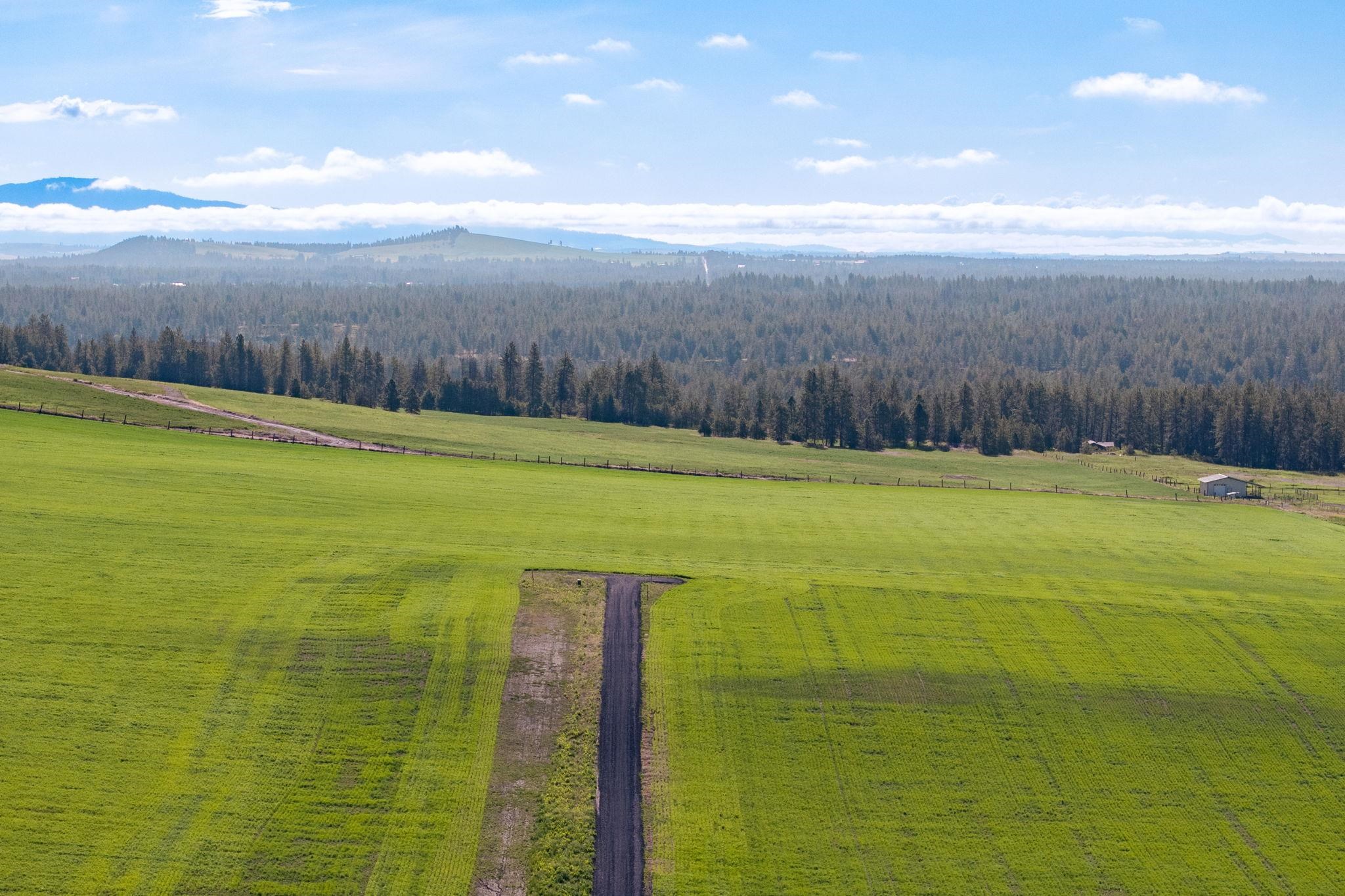 Nka South Andrus Road, Unit LOT #6 Cheney, WA 99004 - Photo 7 of 10