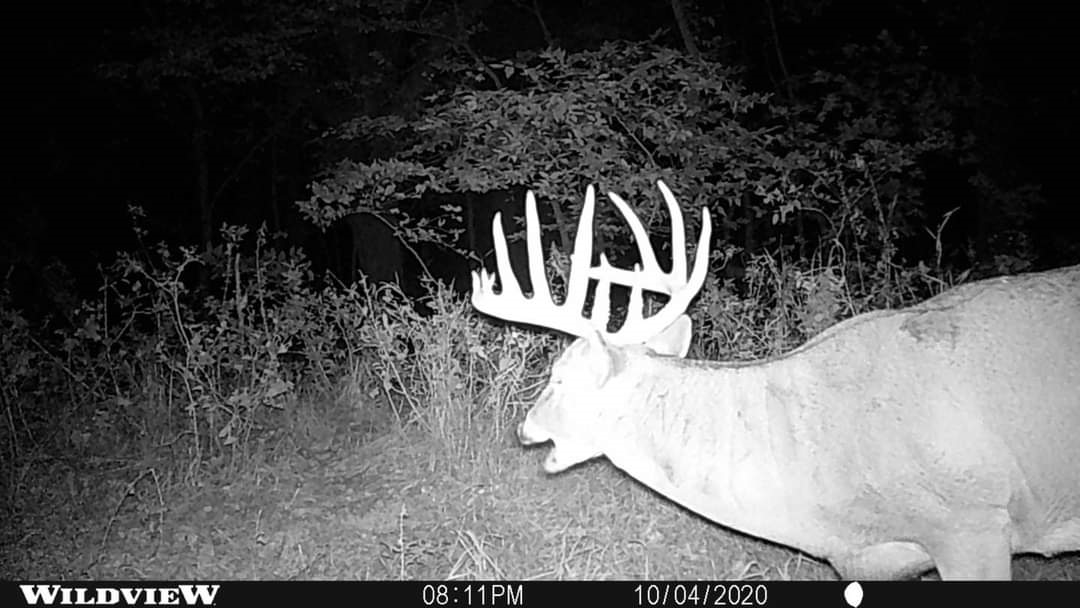 960 Race Track Road Centralia, IL 62801 - Photo 46 of 46 Gallery Image 46