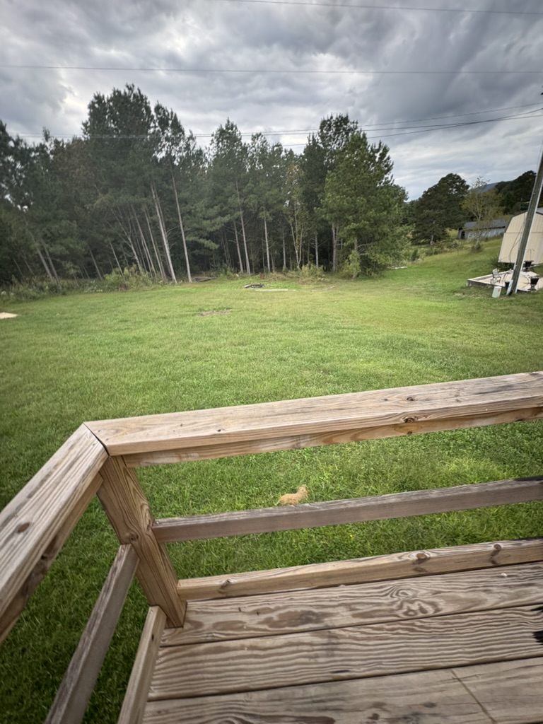 430 Rock Crusher Road Walhalla, SC 29691 - Photo 8 of 26