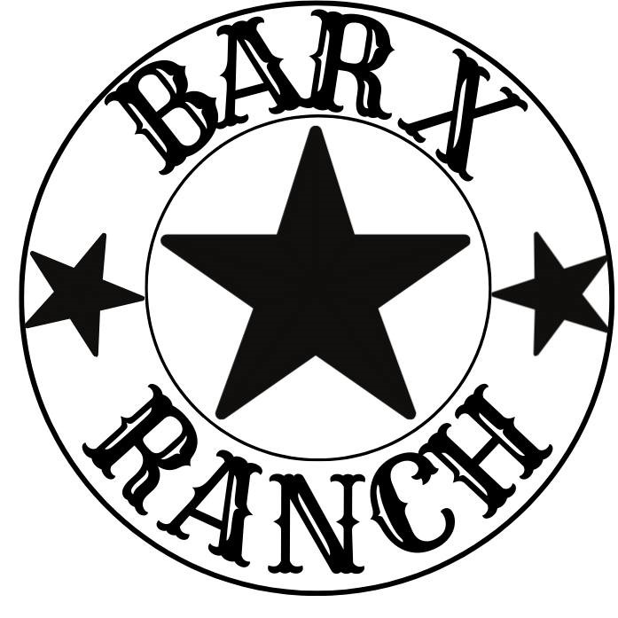 814 Chuckwagon Trail Angleton, TX 77515 - Photo 3 of 3