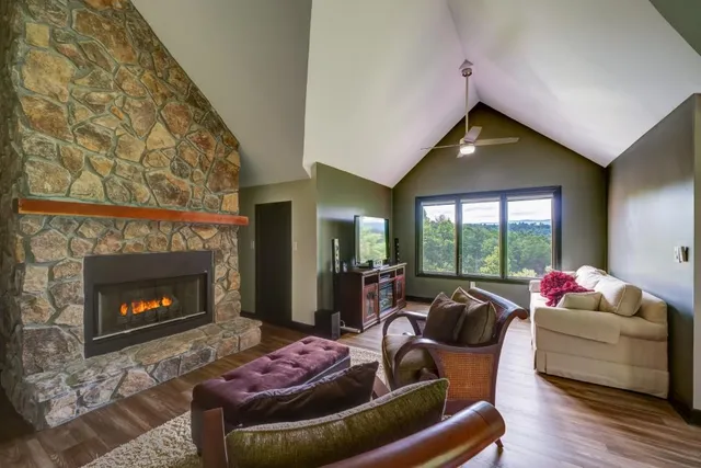 a view of a big yard with a large trees and plants