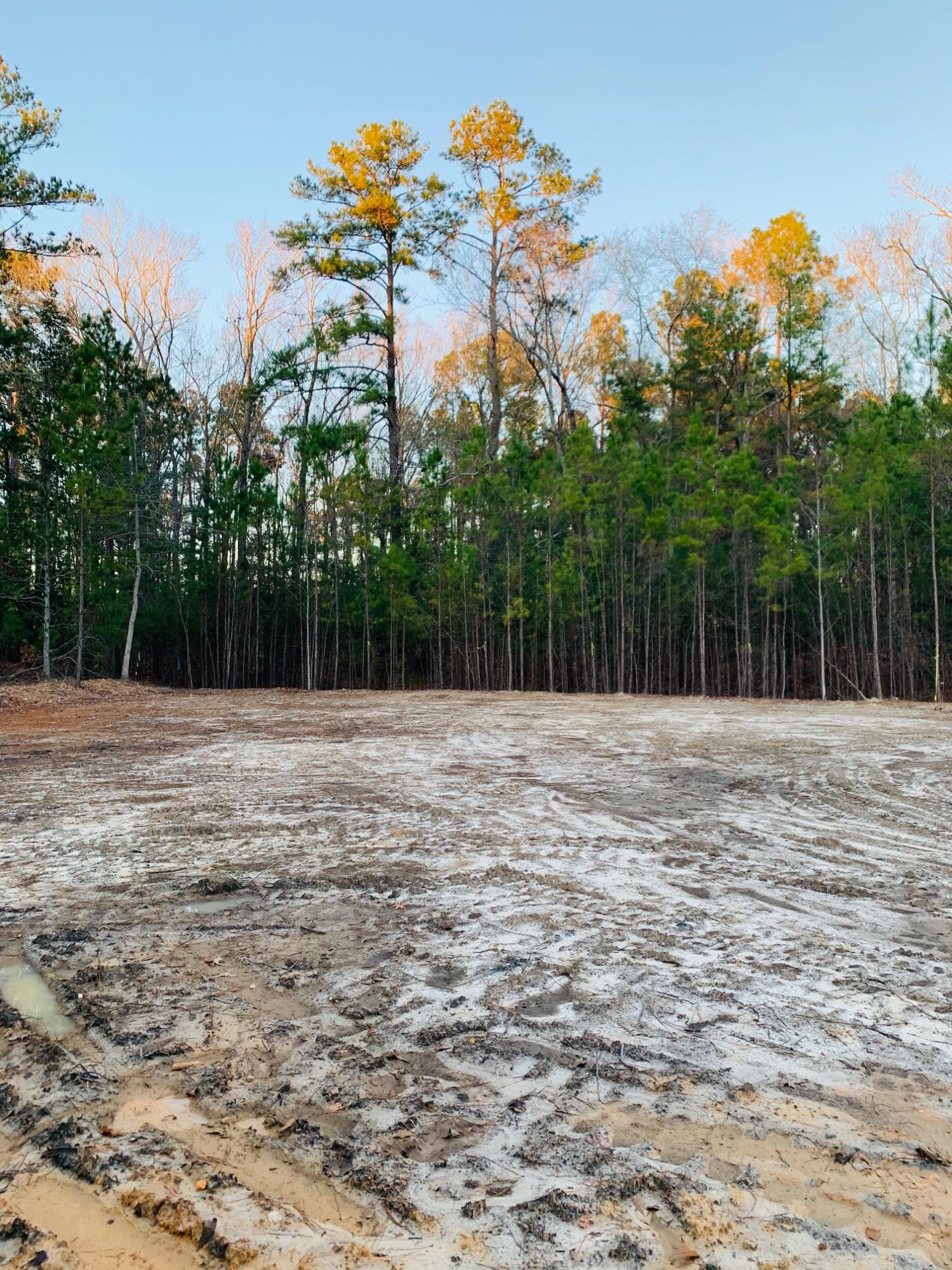 598 Hiers Corner Road Walterboro, SC 29488 - Photo 16 of 22 IMG_1155