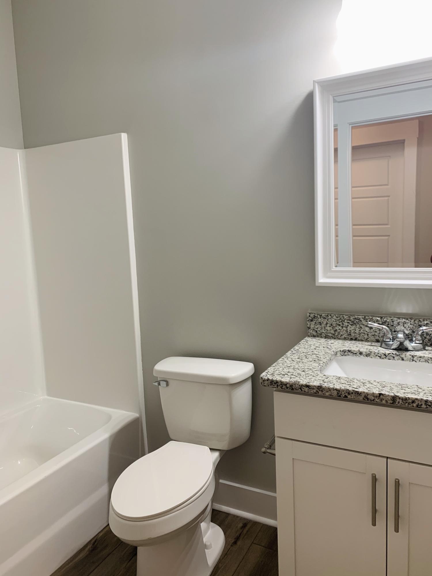 598 Hiers Corner Road Walterboro, SC 29488 - Photo 9 of 22 IMG_1250