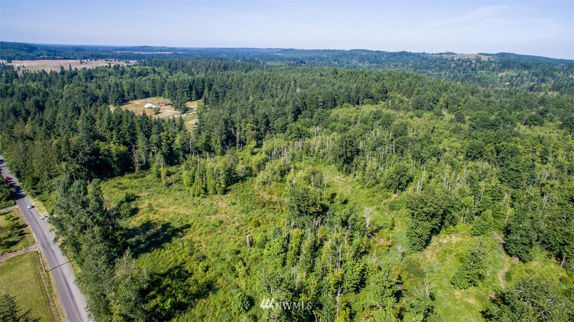 0 Knowles Road Southeast Tenino, WA 98589 - Photo 4 of 5 Gallery Image 4