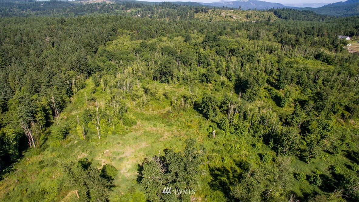 0 Knowles Road Southeast Tenino, WA 98589 - Photo 5 of 5 Gallery Image 5