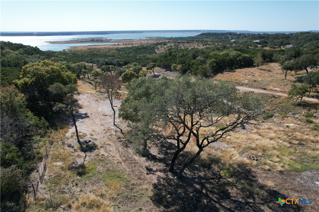 3650 Simmons Road Belton, TX 76513 - Photo 4 of 6 a view of a forest with a yard