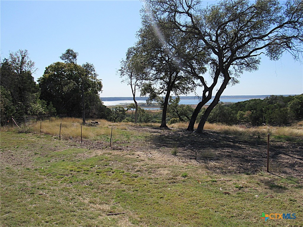 3650 Simmons Road Belton, TX 76513 - Photo 6 of 6 a view of a yard with a tree