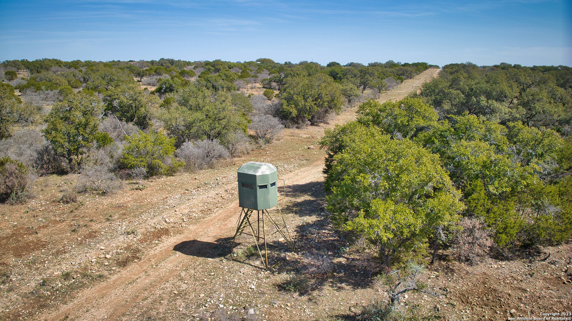 19316 Ranch Road 1871 Mason, TX 76856 - Photo 33 of 37 a view of a forest with a sink