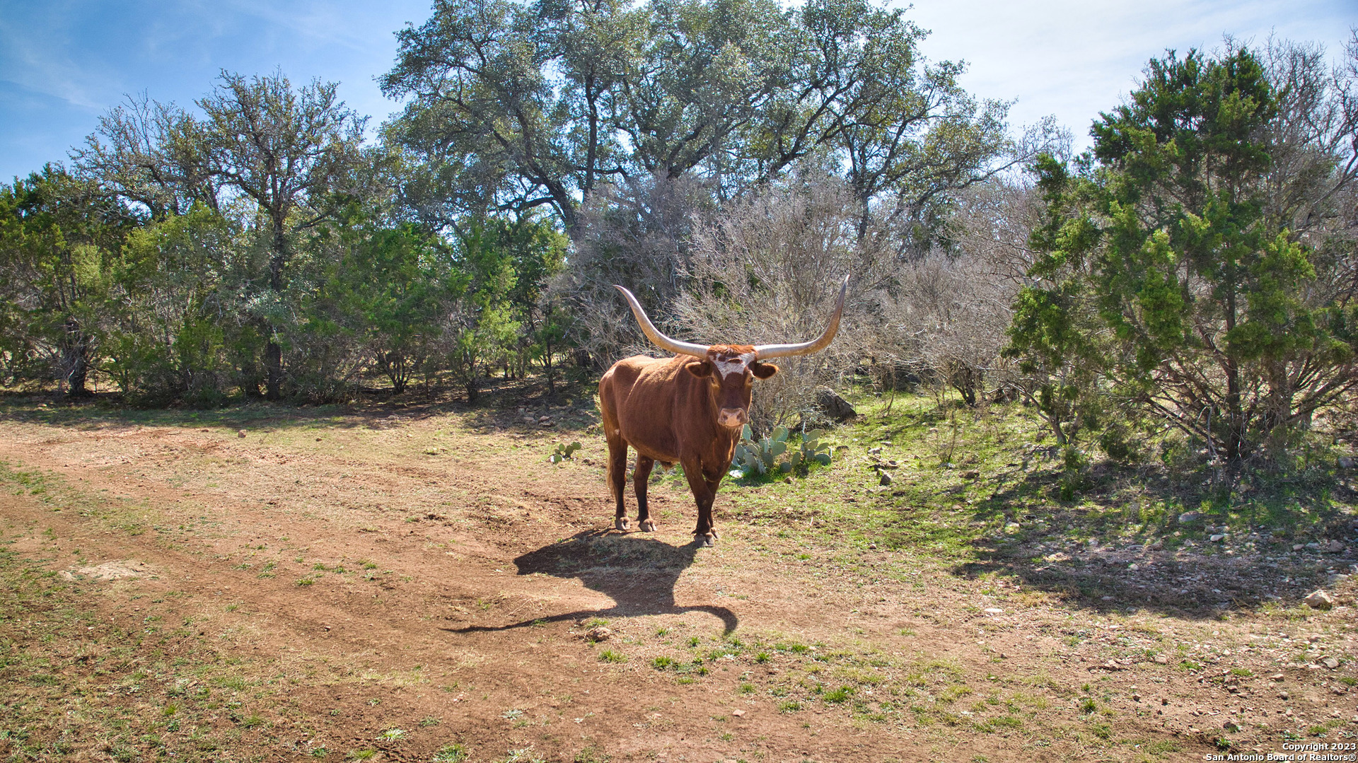19316 Ranch Road 1871 Mason, TX 76856 - Photo 34 of 37 a view of a yard