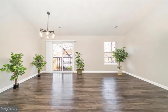 a view of an empty room with a potted plant