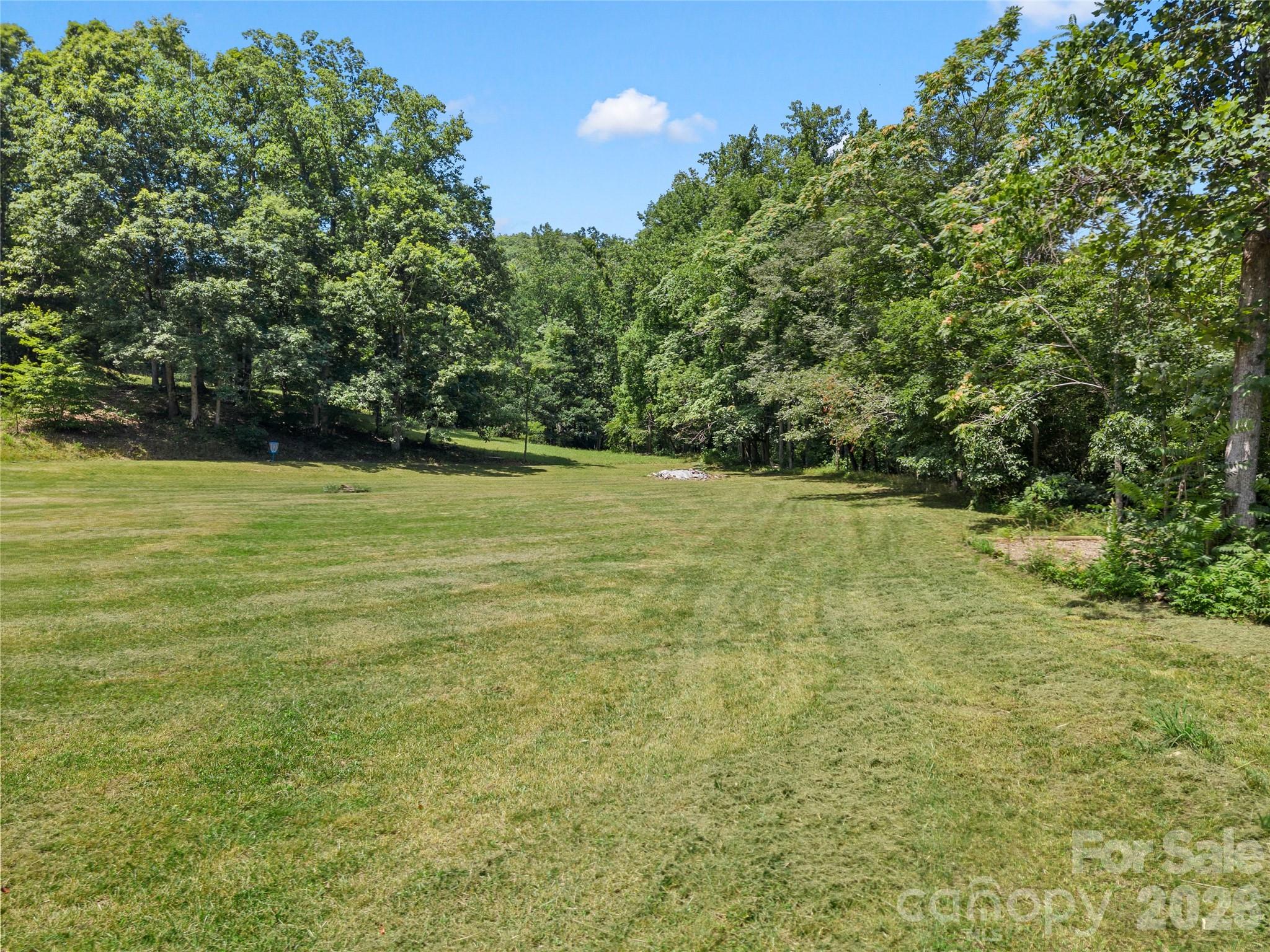 563 Burgess Road Mill Spring, NC 28756 - Photo 35 of 43