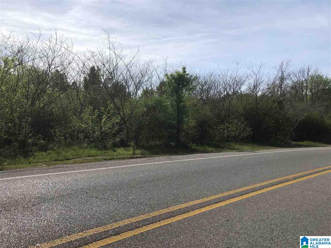 11-acres Morgan Road, Unit 11 ACRES Helena, AL 35022 - Photo 2 of 11