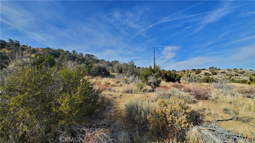 0 Vicinity Ross Road East Juniper Hills, CA 93543 - Photo 14 of 50 a view of a large building with a mountain in the background