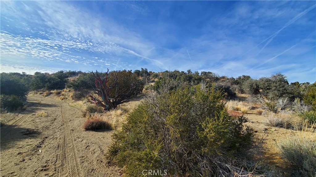 0 Vicinity Ross Road East Juniper Hills, CA 93543 - Photo 15 of 50 a view of a lake with a mountain