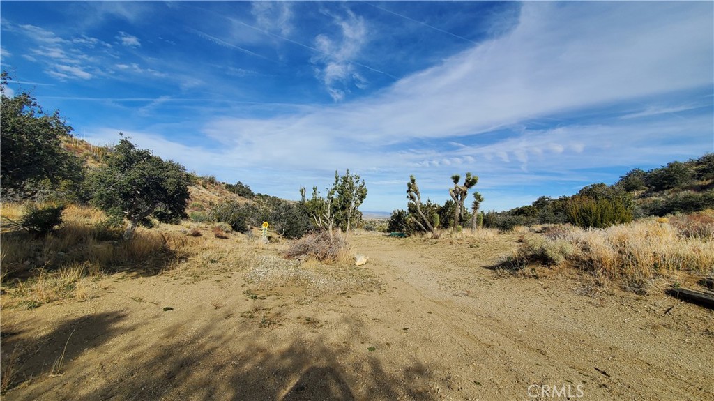 0 Vicinity Ross Road East Juniper Hills, CA 93543 - Photo 21 of 50 a view of a dry yard with trees