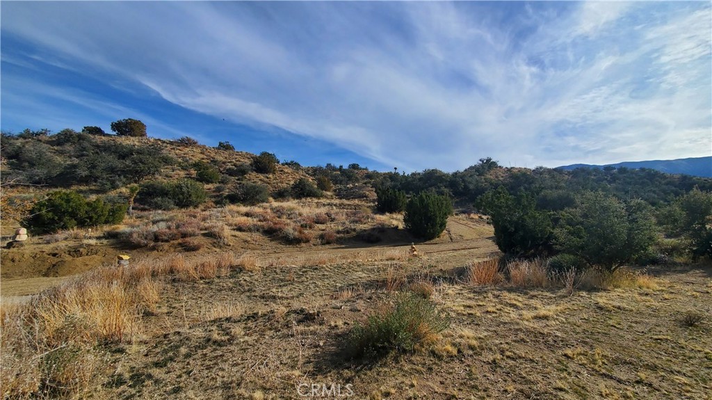 0 Vicinity Ross Road East Juniper Hills, CA 93543 - Photo 25 of 50 a view of a dry yard with green space