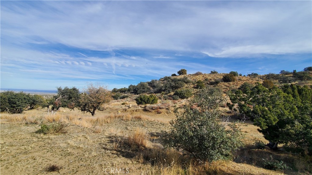 0 Vicinity Ross Road East Juniper Hills, CA 93543 - Photo 26 of 50 a view of a building
