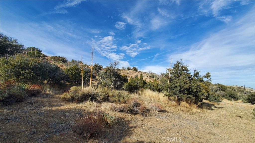 0 Vicinity Ross Road East Juniper Hills, CA 93543 - Photo 27 of 50 a view of a yard with a tree